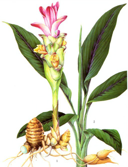 201203300953158035.jpg